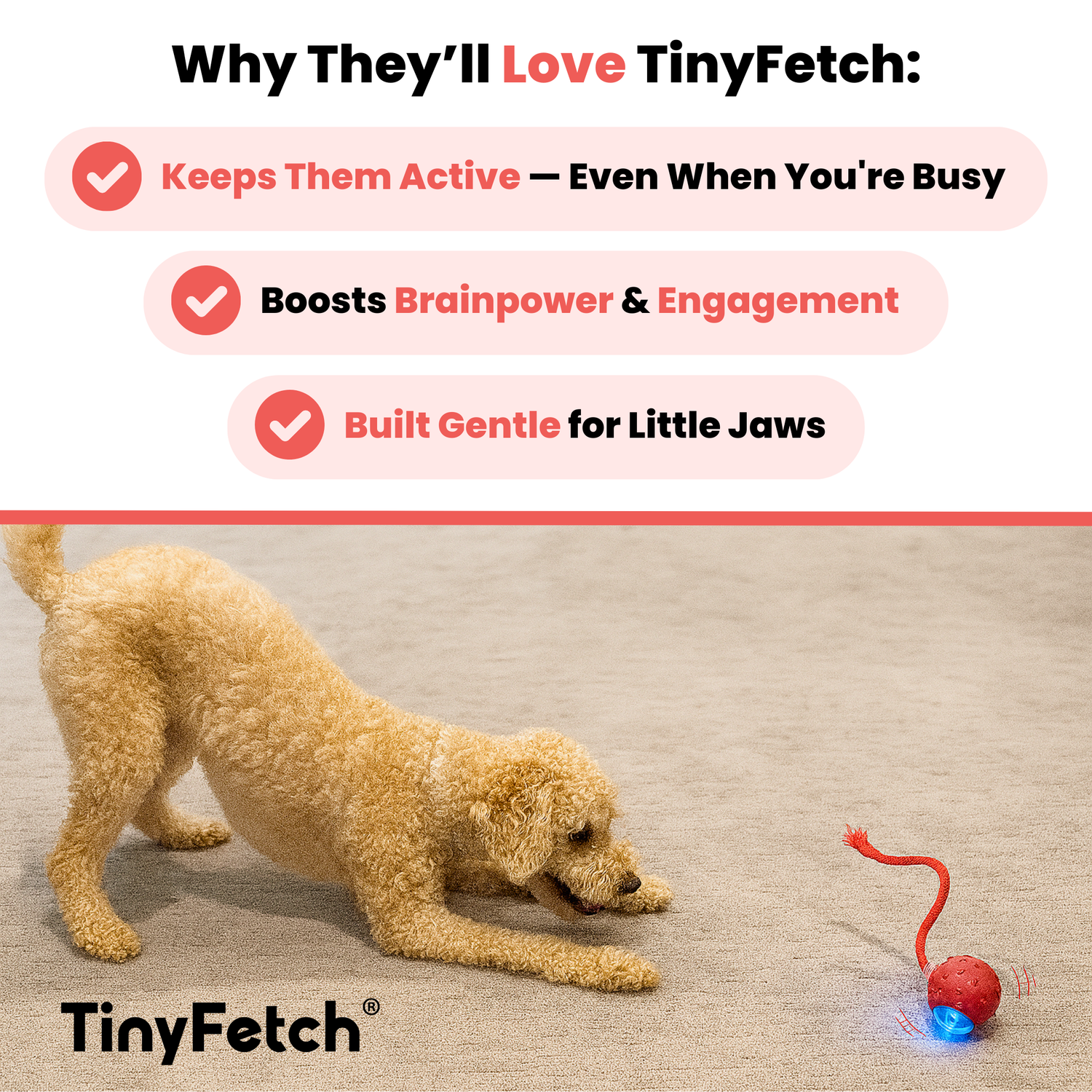 Small dog chasing a coral motion toy across a bright wood floor