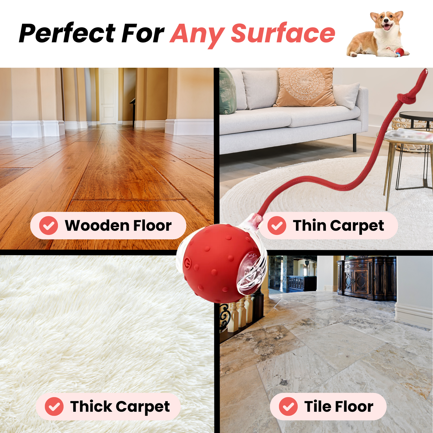 Naelo motion ball on a bright lifestyle surface