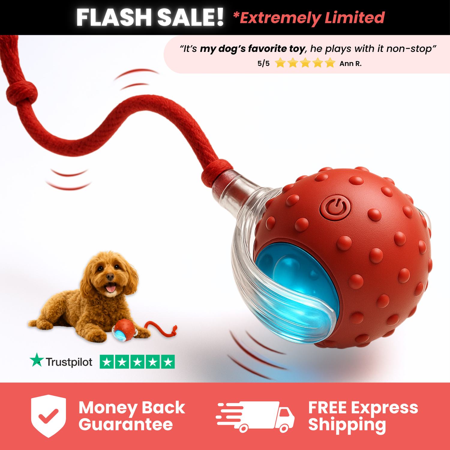 Coral interactive motion toy on a warm studio surface